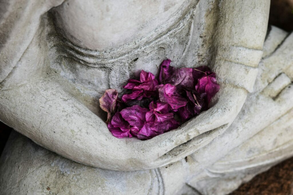Courage, méditation, expansion