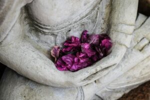 Courage, méditation, expansion