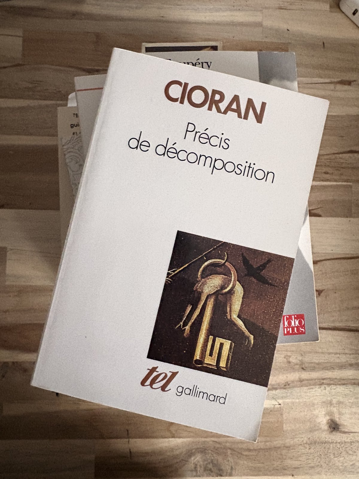 Le livre « Précis de décomposition » de Emil Cioran, dans ma bibliothèque