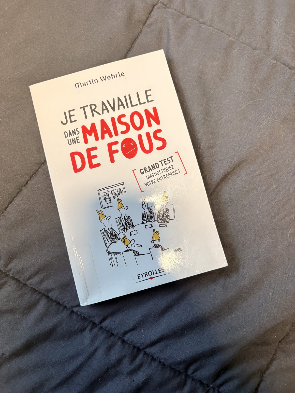 Le livre « Je travaille dans une maison de fous » de Martin Wehrle, dans ma bibliothèque