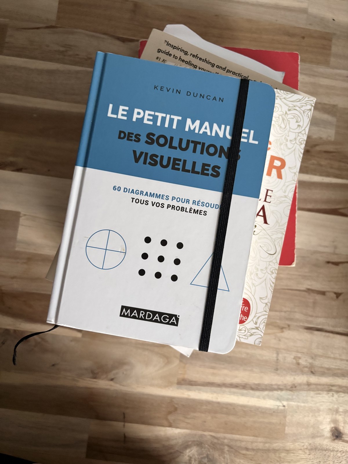 Le livre « Le petit manuel des solutions visuelles » de Kevin Duncan, dans ma bibliothèque
