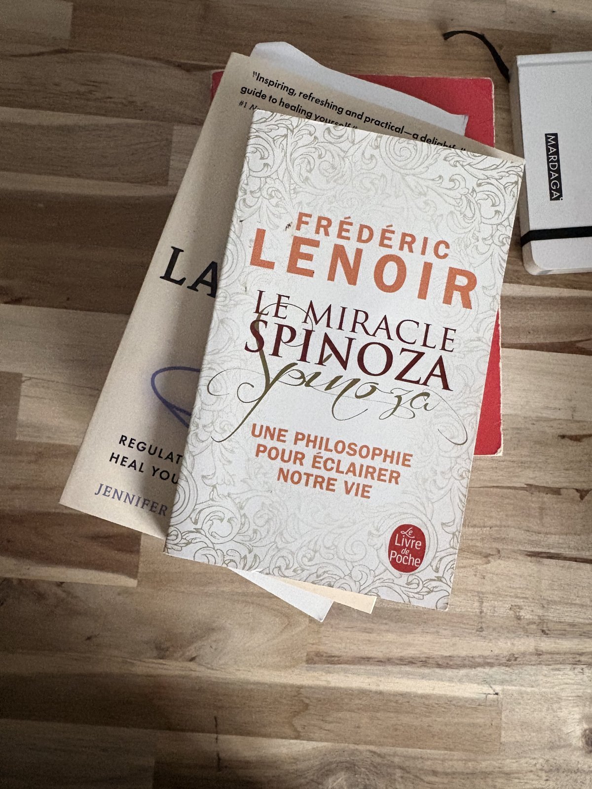 Le livre « Le miracle Spinoza » de Frédéric Lenoir, dans ma bibliothèque