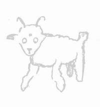 Deuxième dessin : un bélier avec des cornes