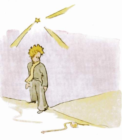 Le petit prince rencontre le serpent dans le désert