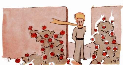 Le petit prince devant un jardin fleuri de roses