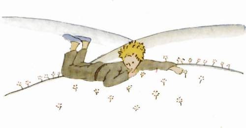 Le petit prince couché dans l’herbe, qui pleure